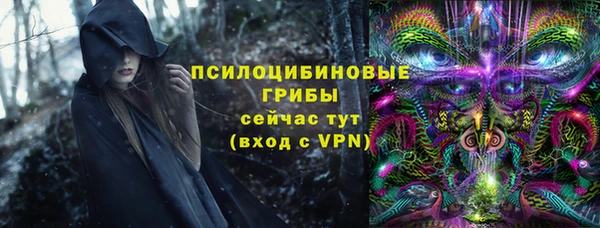 мет Арсеньев