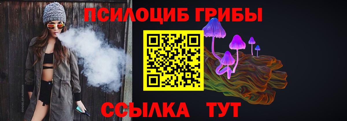 Псилоцибиновые грибы Psilocybine cubensis Кубинка